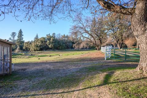 1240 Moccasin Trl, Placerville, CA 95667 photo 17