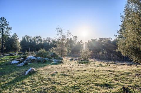 1240 Moccasin Trl, Placerville, CA 95667 photo 19