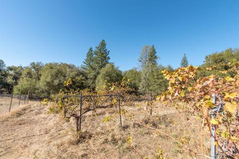 1240 Moccasin Trl, Placerville, CA 95667 photo 65