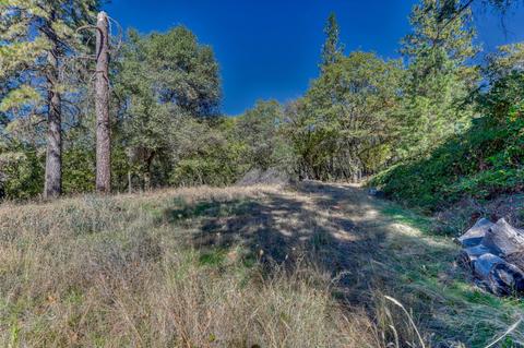 920 Whispering Pines Rd, Colfax, CA 95713 photo 8