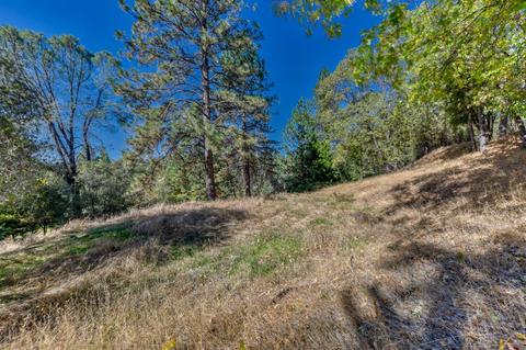 920 Whispering Pines Rd, Colfax, CA 95713 photo 2