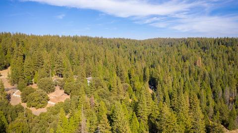 20001 Pine Dr, Volcano, CA 95689 photo 88