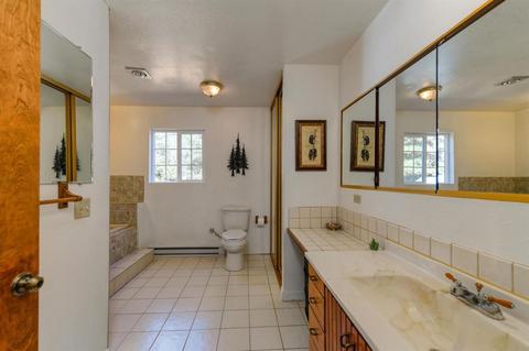 20001 Pine Dr, Volcano, CA 95689 photo 25
