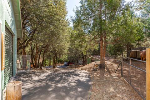 20001 Pine Dr, Volcano, CA 95689 photo 71