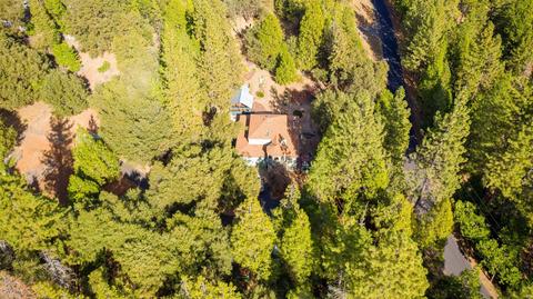 20001 Pine Dr, Volcano, CA 95689 photo 94