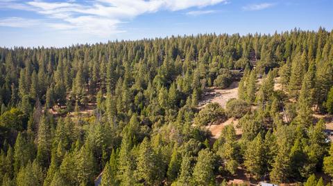 20001 Pine Dr, Volcano, CA 95689 photo 90