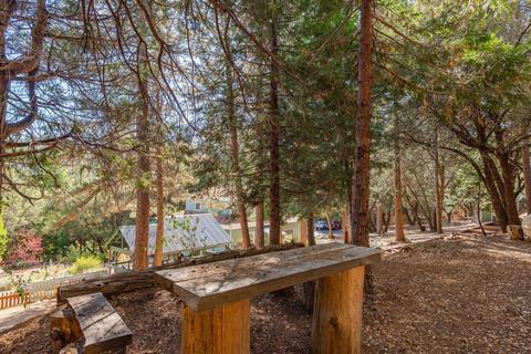 20001 Pine Dr, Volcano, CA 95689 photo 68