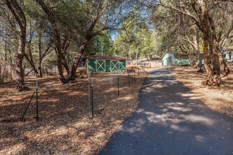 20001 Pine Dr, Volcano, CA 95689 photo 73