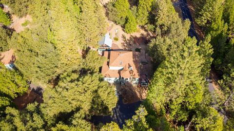 20001 Pine Dr, Volcano, CA 95689 photo 93