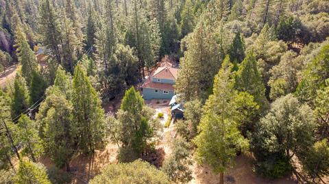 20001 Pine Dr, Volcano, CA 95689 photo 81