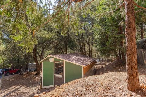 20001 Pine Dr, Volcano, CA 95689 photo 66
