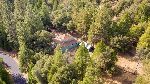 20001 Pine Dr, Volcano, CA 95689 photo 78