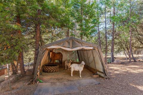 20001 Pine Dr, Volcano, CA 95689 photo 70