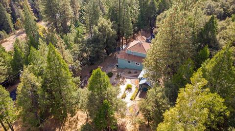 20001 Pine Dr, Volcano, CA 95689 photo 96