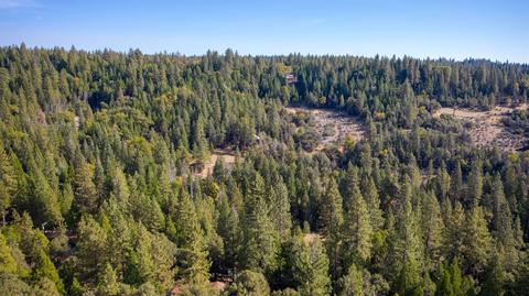 20001 Pine Dr, Volcano, CA 95689 photo 89