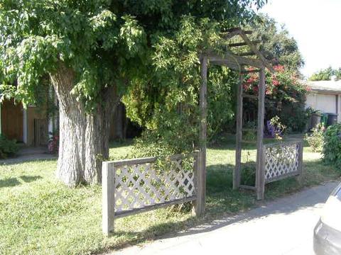 537 Calaveras St, Lodi, CA 95240 photo 5