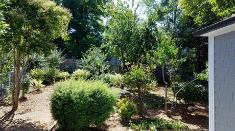 113 Townsend St, Grass Valley, CA 95945 photo 3