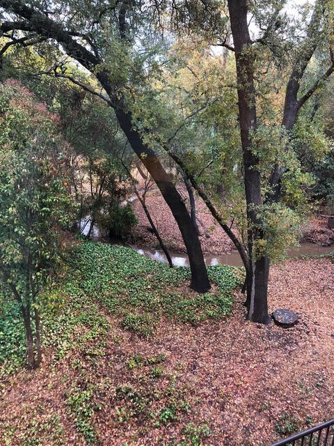 3512 Lynnmar Way, Carmichael, CA 95608 photo 68
