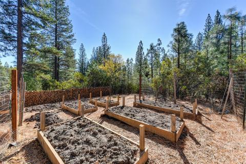 3253 Buckeye Ct, Placerville, CA 95667 photo 33