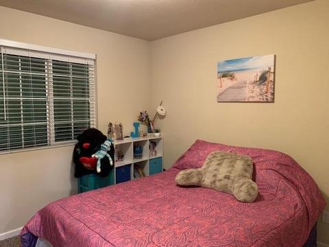 411 Ashwick Loop, Sacramento, CA 95823 photo 25