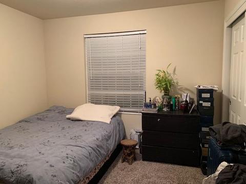 411 Ashwick Loop, Sacramento, CA 95823 photo 35