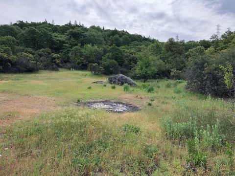 2100 Prosperity Ln, Placerville, CA 95667 photo 33