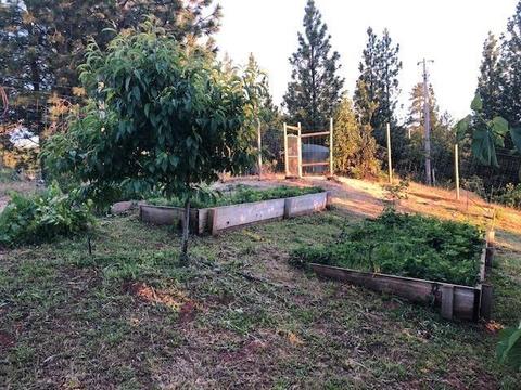 2100 Prosperity Ln, Placerville, CA 95667 photo 38