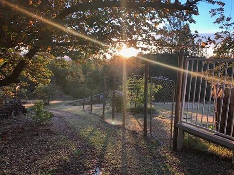 2100 Prosperity Ln, Placerville, CA 95667 photo 37