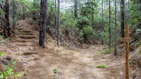 2100 Prosperity Ln, Placerville, CA 95667 photo 48