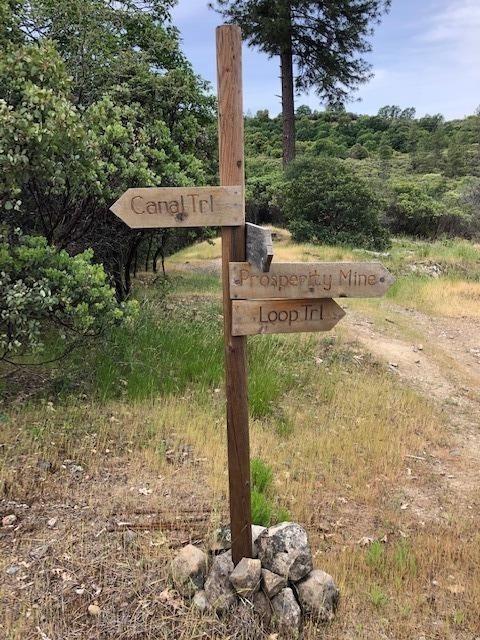 2100 Prosperity Ln, Placerville, CA 95667 photo 20