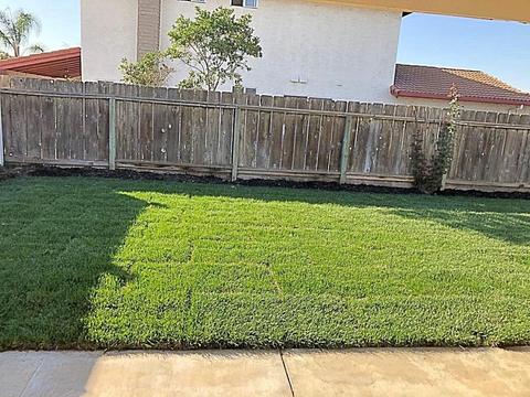 1013 Tokay Ln, Manteca, CA 95337 photo 23