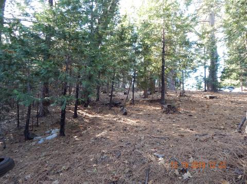16541 Caddo Cir, Sonora, CA 95370 photo 6