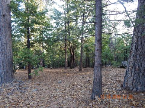16541 Caddo Cir, Sonora, CA 95370 photo 9