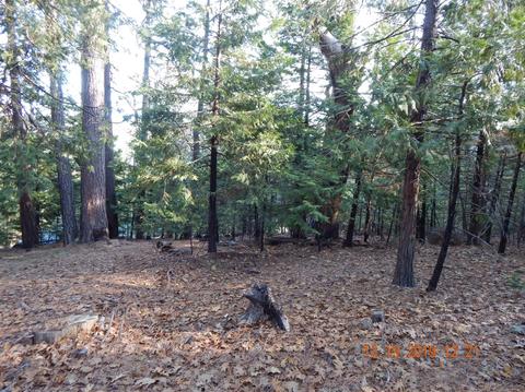 16541 Caddo Cir, Sonora, CA 95370 photo 3