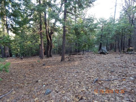 16541 Caddo Cir, Sonora, CA 95370 photo 2