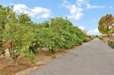3707 W Kenner Rd, Tracy, CA 95304 photo 5