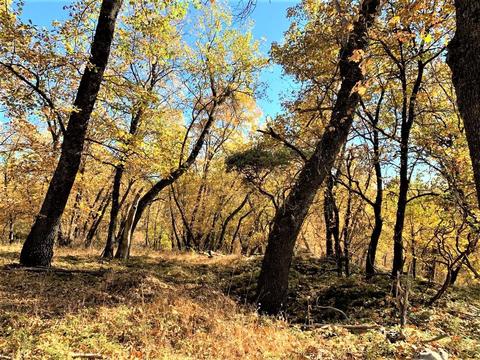 1884 Jurs Rd, West Point, CA 95255 photo 3