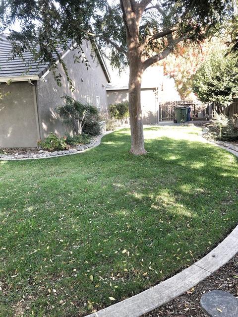 1900 Erin Way, Turlock, CA 95382 photo 39
