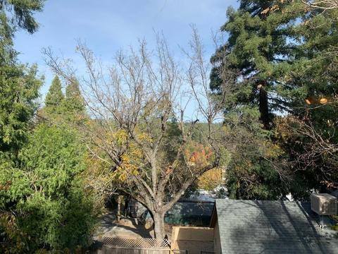 3111 Washington St, Placerville, CA 95667 photo 2