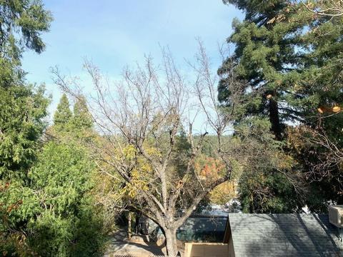 3111 Washington St, Placerville, CA 95667 photo 12