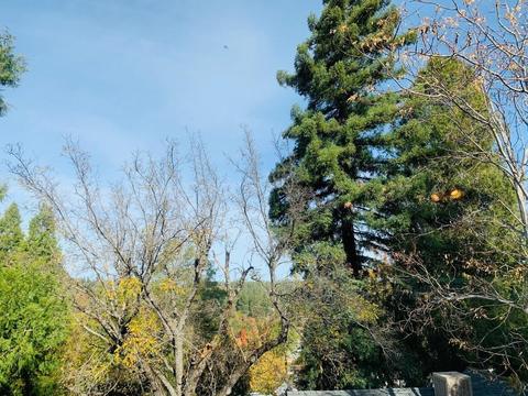 3111 Washington St, Placerville, CA 95667 photo 11
