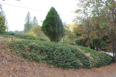 3111 Washington St, Placerville, CA 95667 photo 13