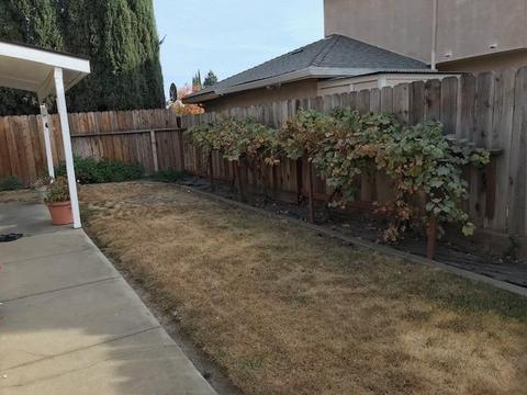 2038 Shadow Park Dr, Turlock, CA 95380 photo 20