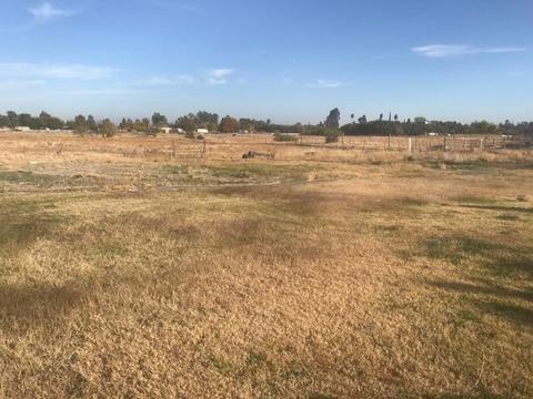 9004 El Modena Ave, Elverta, CA 95626 photo 9