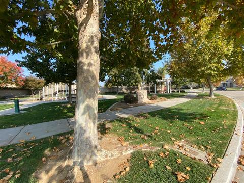 340 Granite Way, Ripon, CA 95366 photo 41