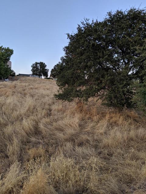3811 Arrowhead St, Copperopolis, CA 95228 photo 3