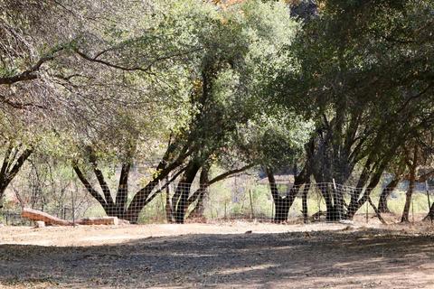 3201 Mortara Cir, Placerville, CA 95667 photo 55