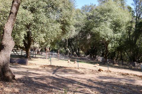 3201 Mortara Cir, Placerville, CA 95667 photo 58