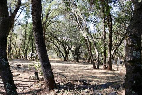 3201 Mortara Cir, Placerville, CA 95667 photo 53