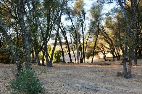 3201 Mortara Cir, Placerville, CA 95667 photo 80